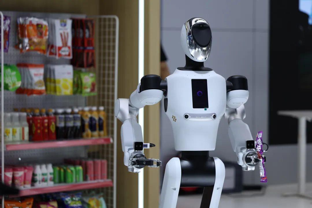 机器人遇上陪伴缺口养老管理师成破局关键(图1)